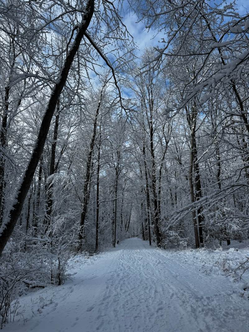 walking near me in Loantaka Brook Reservation in winter