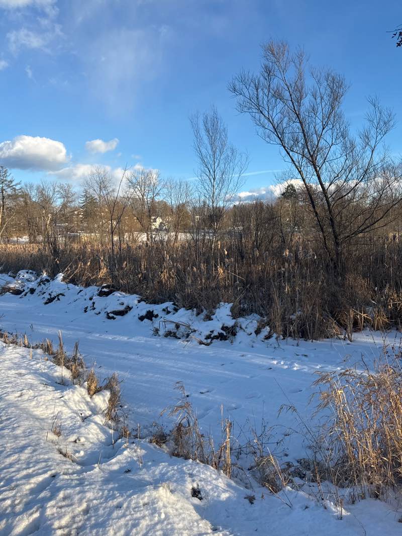 walking near me in Hanson Playground in winter