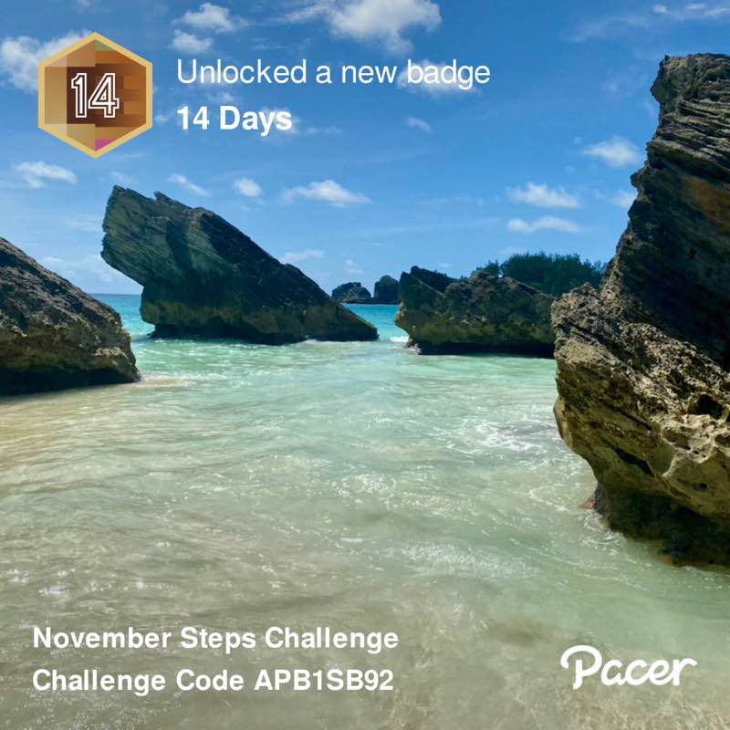 José Pimentel post 2