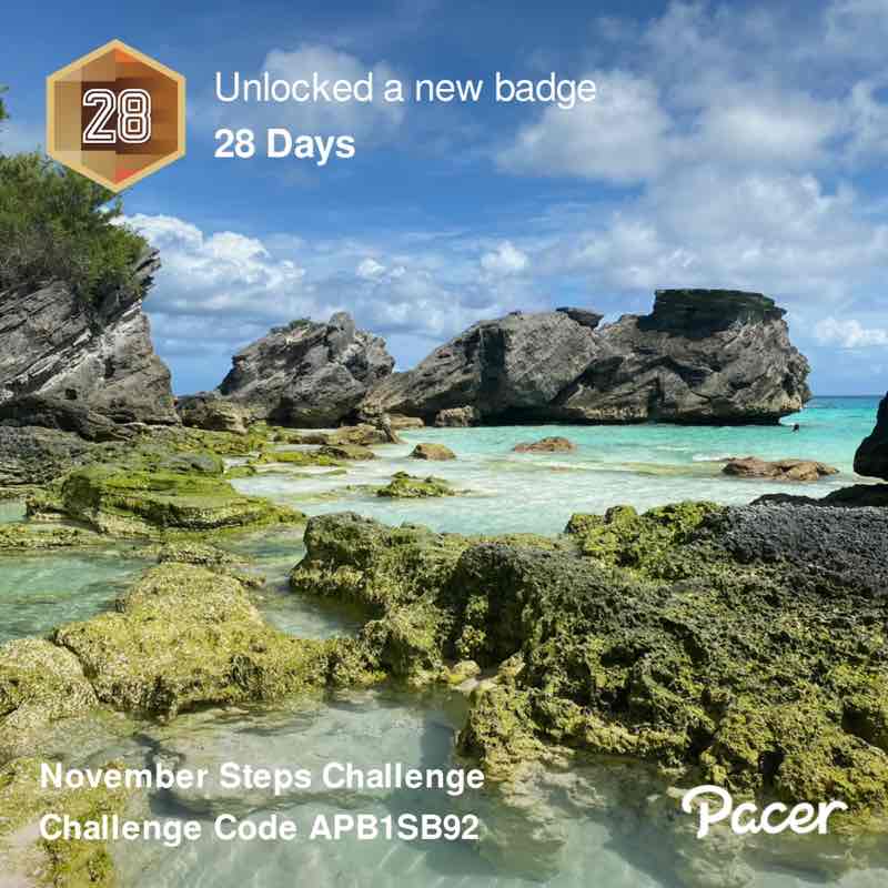 José Pimentel post 3