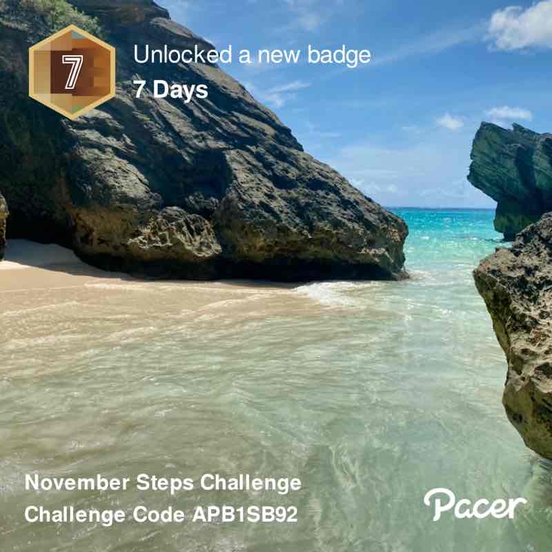 José Pimentel post 1