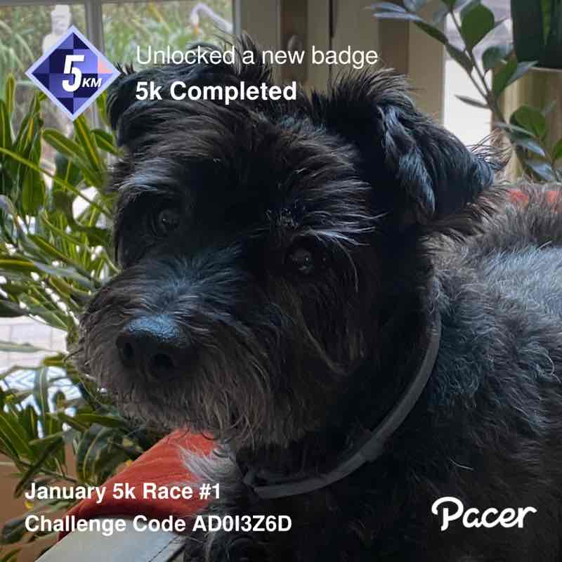 José Pimentel post 1