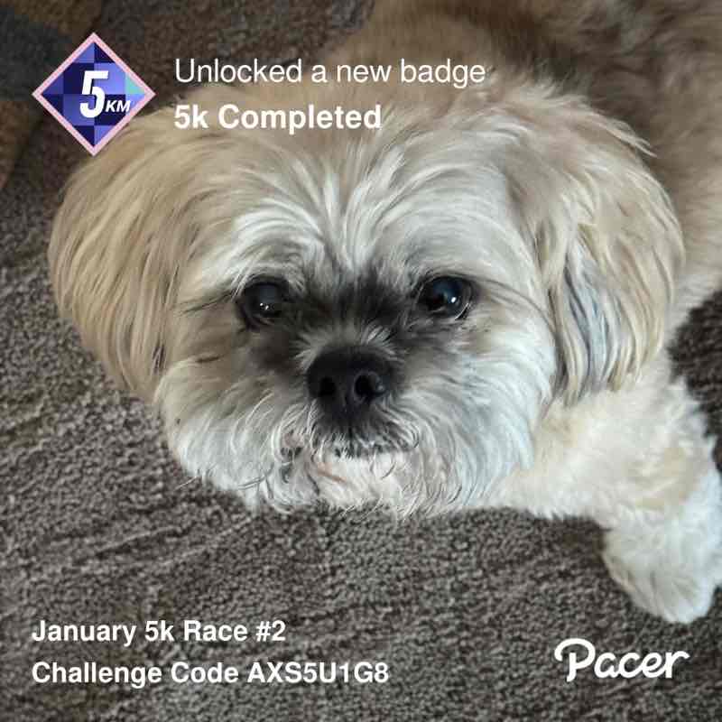 José Pimentel post 2