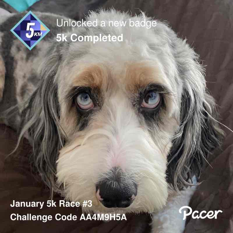 José Pimentel post 3