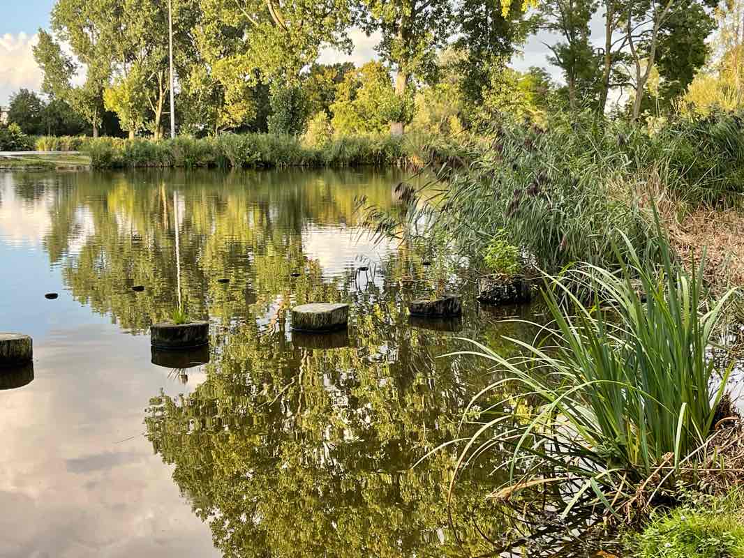 walking near me in Noordsterpark in autumn