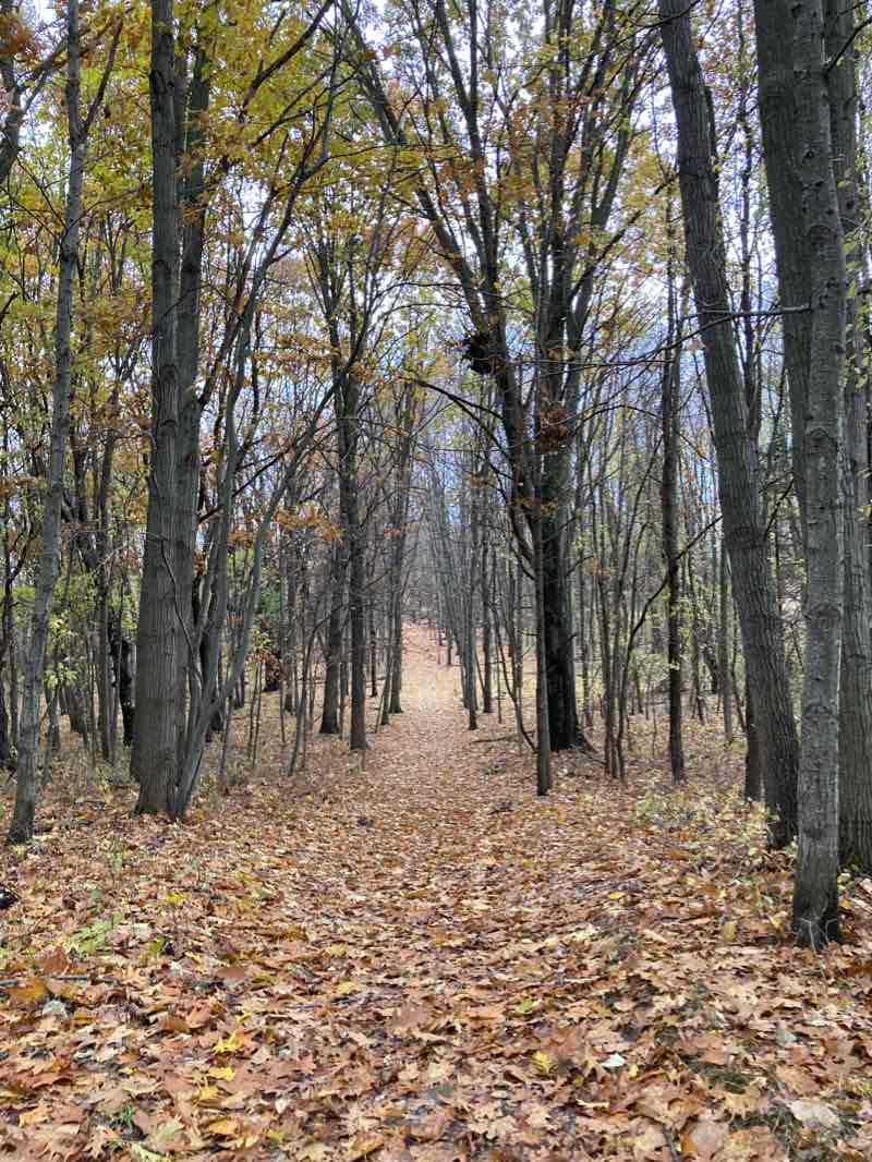 walking near me in Cascade Burton Park in winter