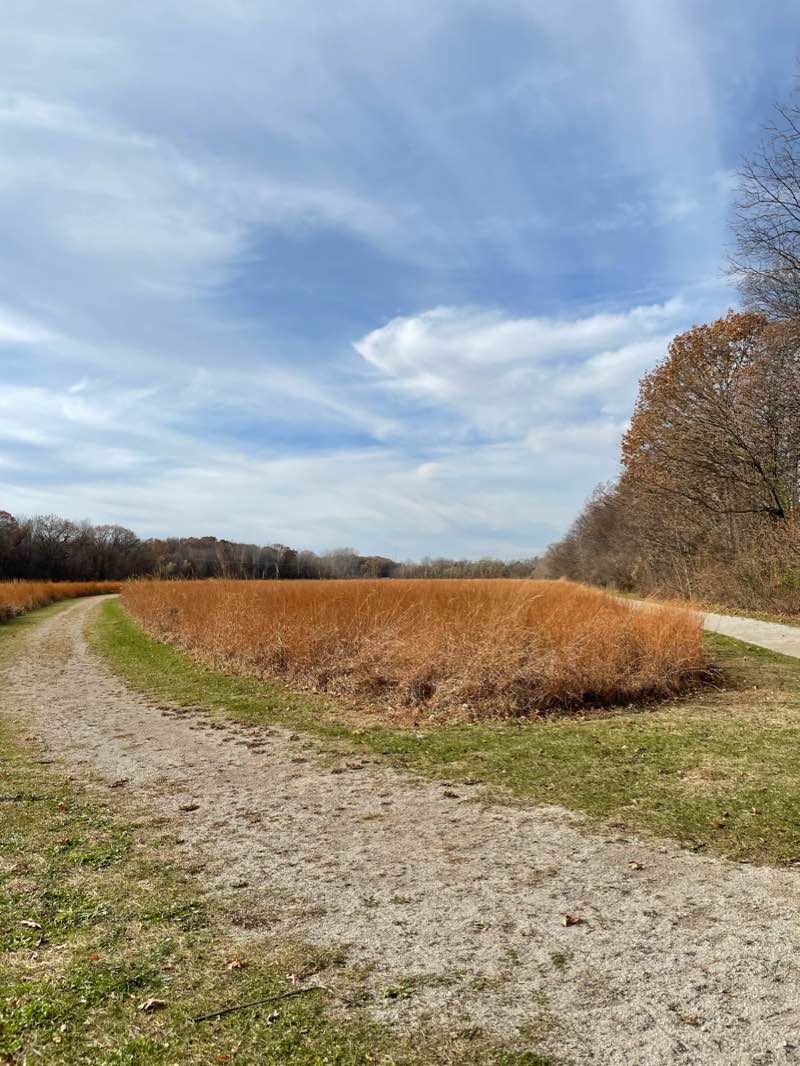 walking near me in Lewis Ansted Community Park in winter