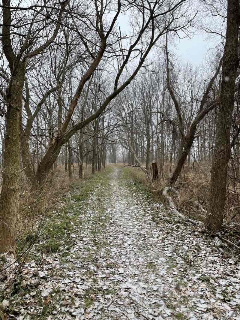 walking near me in Hartrick Park in winter