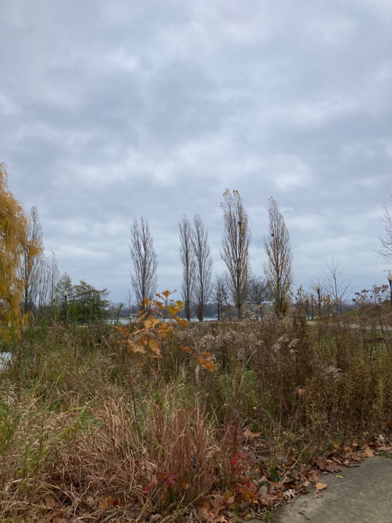 walking near me in Elizabeth Park in winter