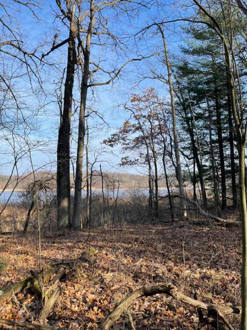 walking near me in Brighton State Recreation Area in winter