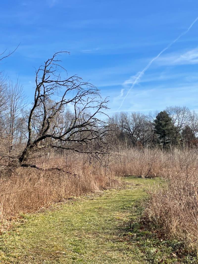 walking near me in Fillmore County Park in winter