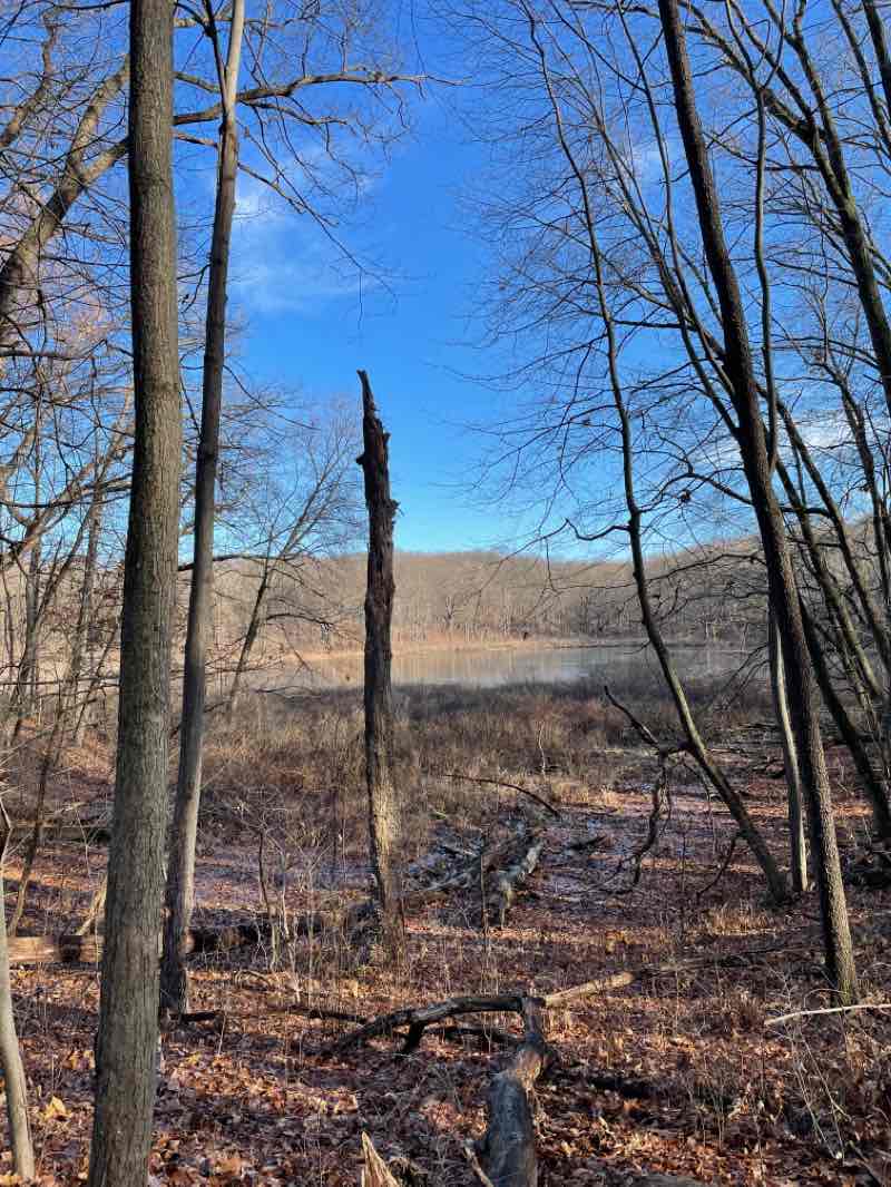 walking near me in Pinckney State Recreation Area in winter