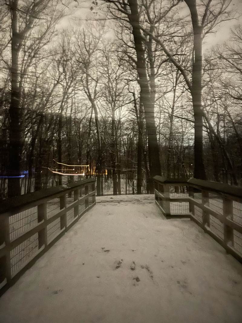 walking near me in Bancroft Park in winter