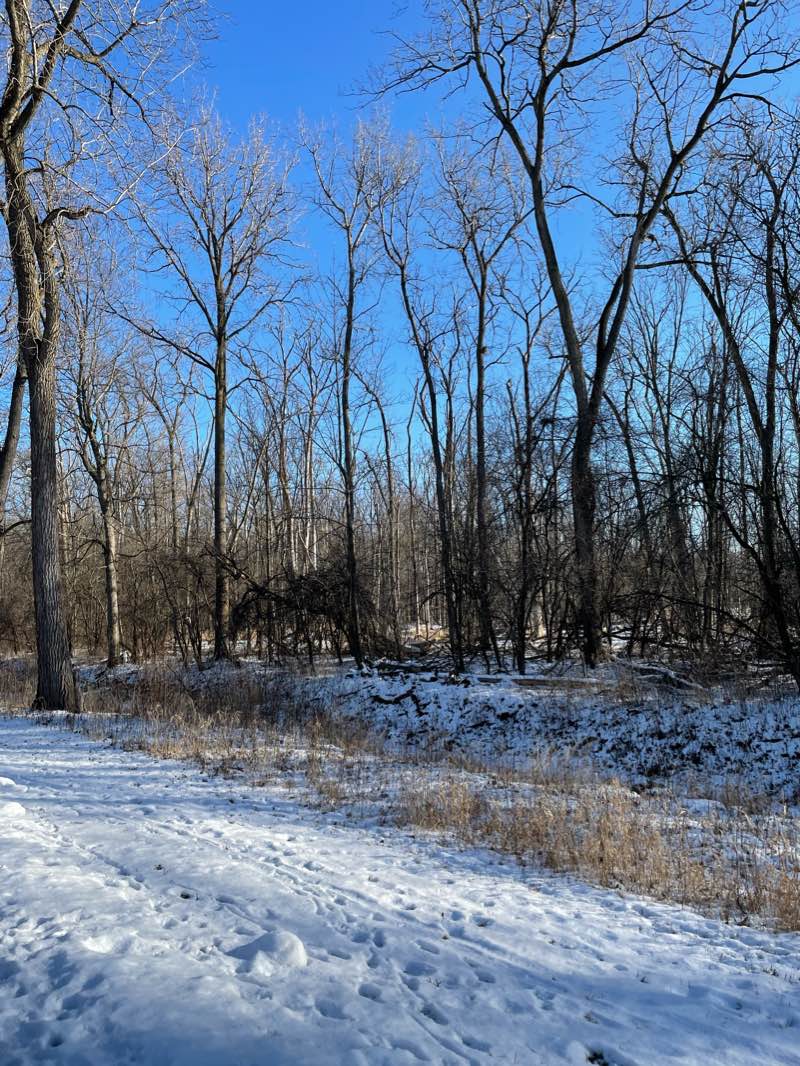 walking near me in Harrison Meadows Park in winter