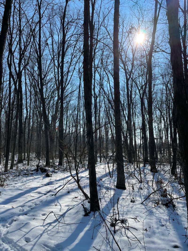 walking near me in Sandra Richardson Park in winter