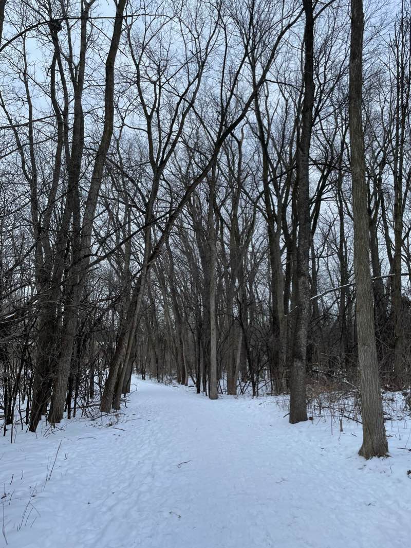 walking near me in Nelson Meade County Farm Park in winter