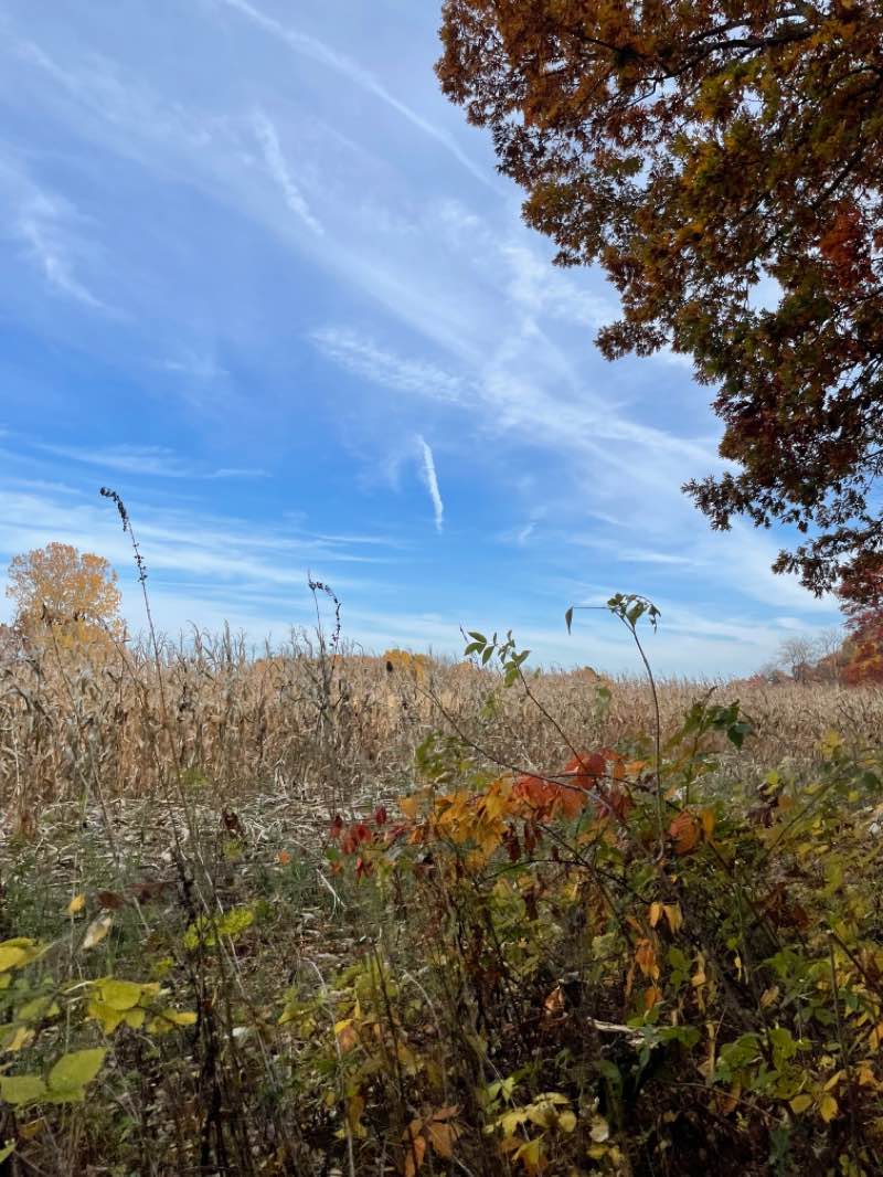 walking near me in Koenn Preserve in winter