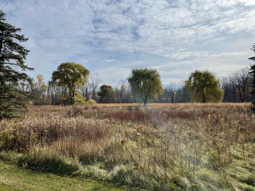 walking near me in Wolcott Mill Metropark in winter