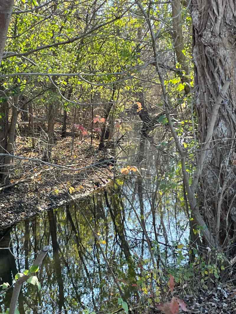walking near me in Veterans Park in winter