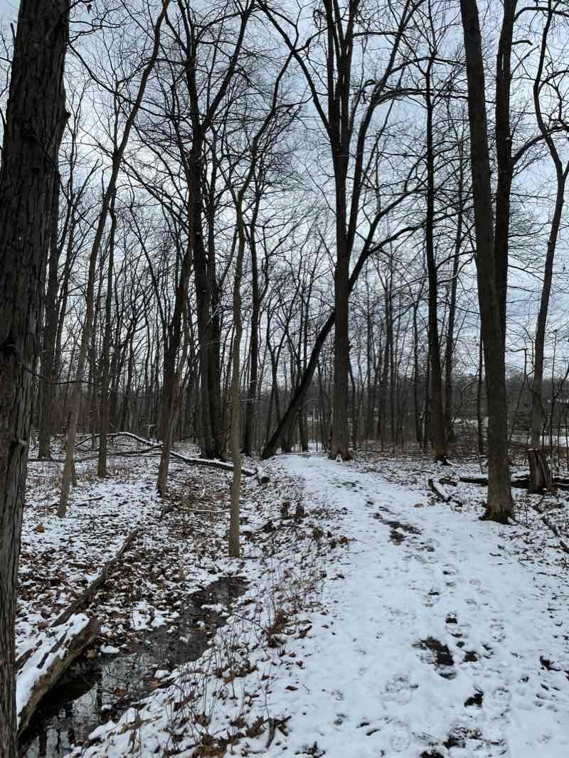 walking near me in Horsemill Open Space in winter