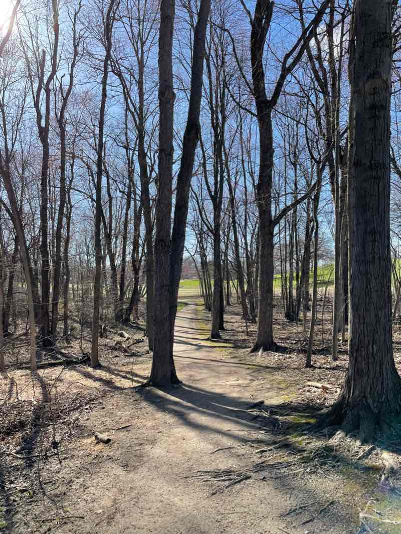 walking near me in Marshbank Park in winter
