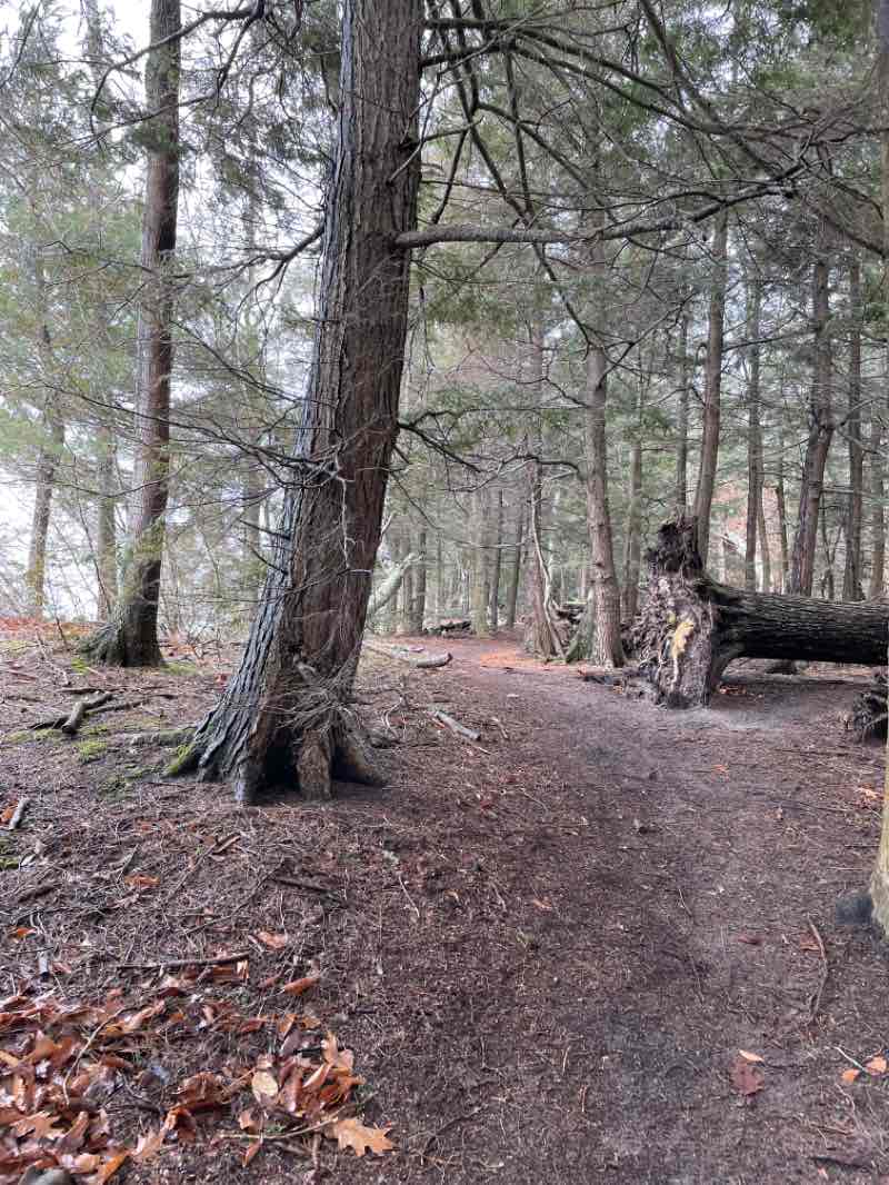 walking near me in Old Mission Point Park in winter