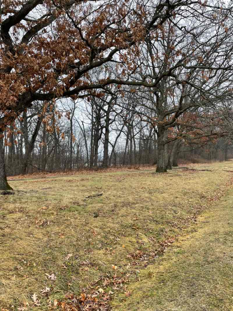 walking near me in Island Lake State Recreation Area in winter