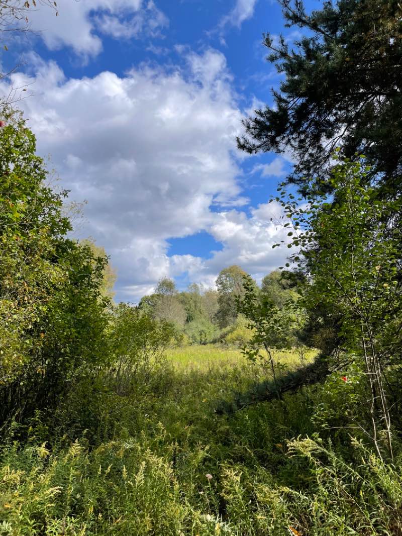 walking near me in North Meridian Road Park in winter