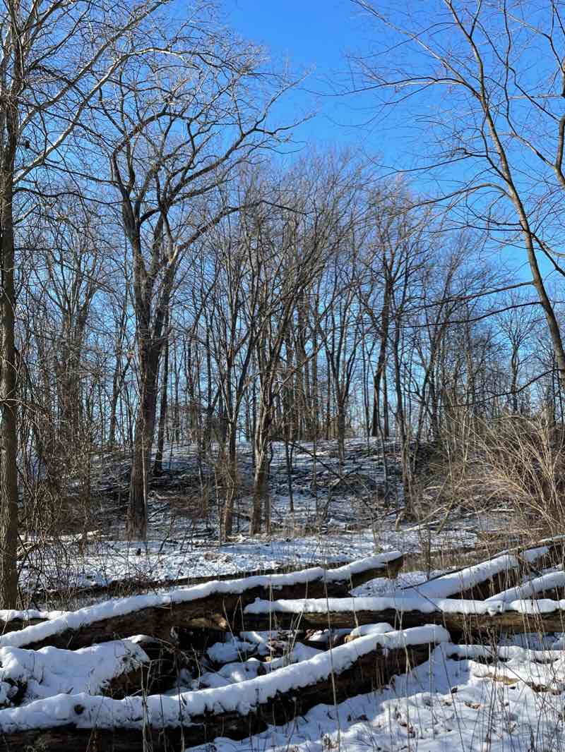 walking near me in Swan Creek Preserve Metropark in winter