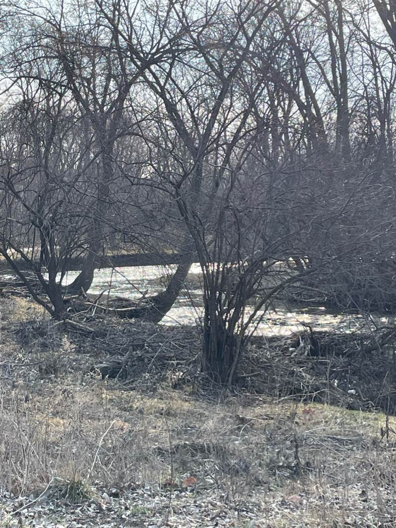 walking near me in Harroun Community Park in winter