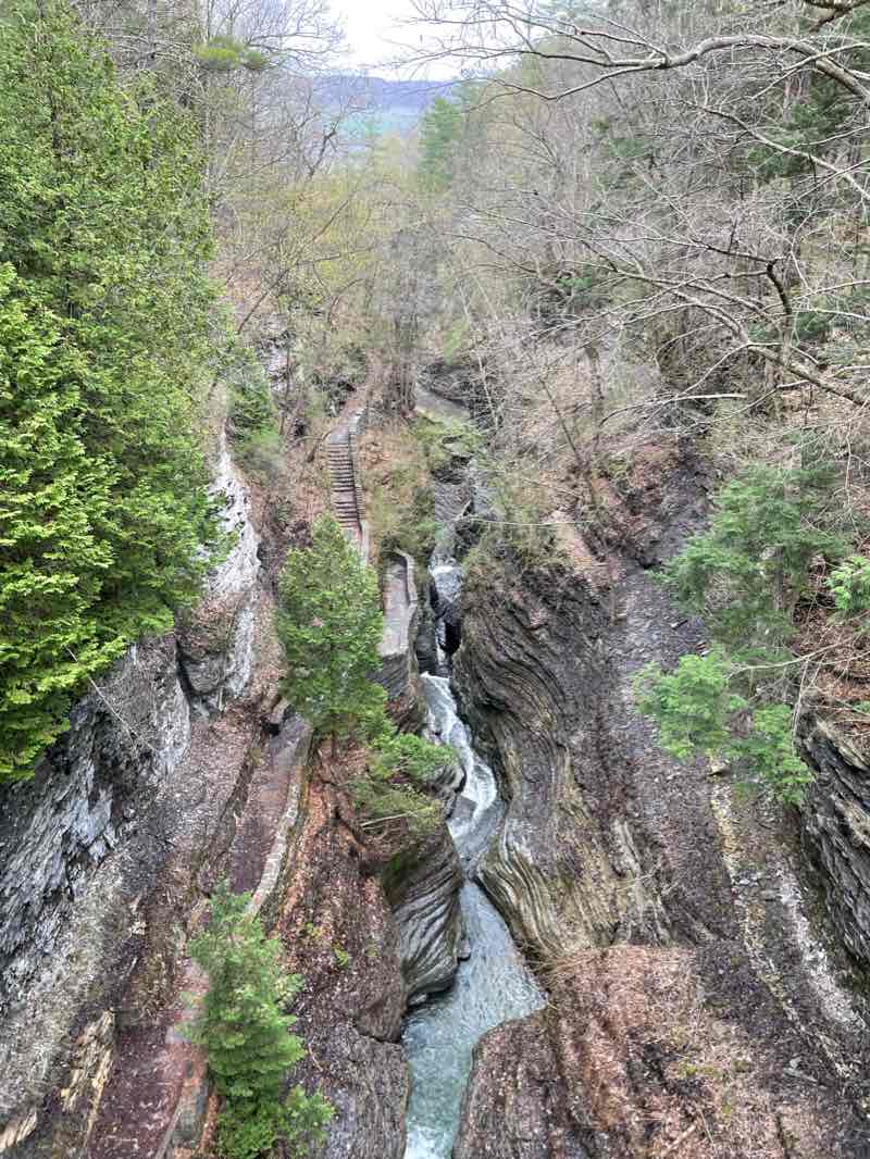 walking near me in Watkins Glen State Park in winter