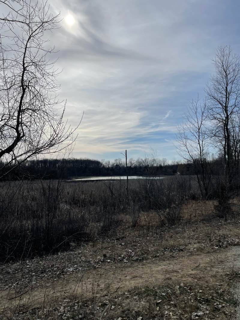 walking near me in Lillie Park in winter