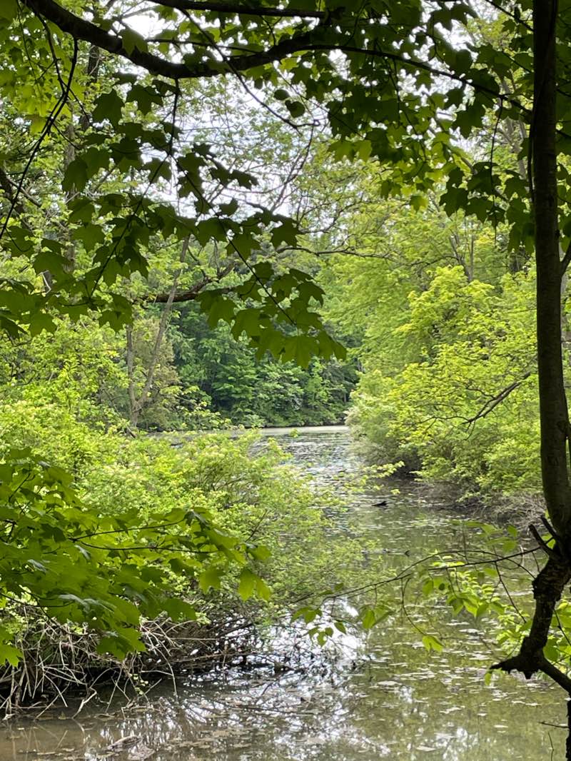walking near me in Woldumar Nature Center in winter