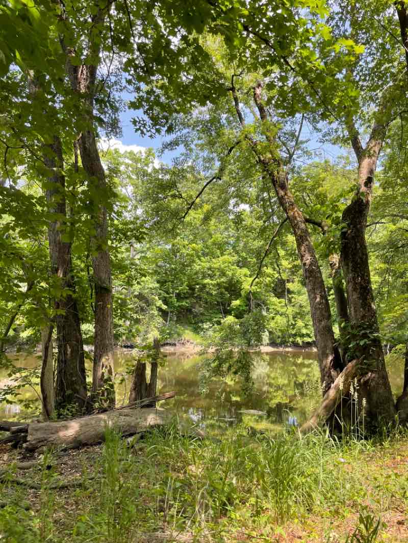 walking near me in Hunters Orchard Park in winter