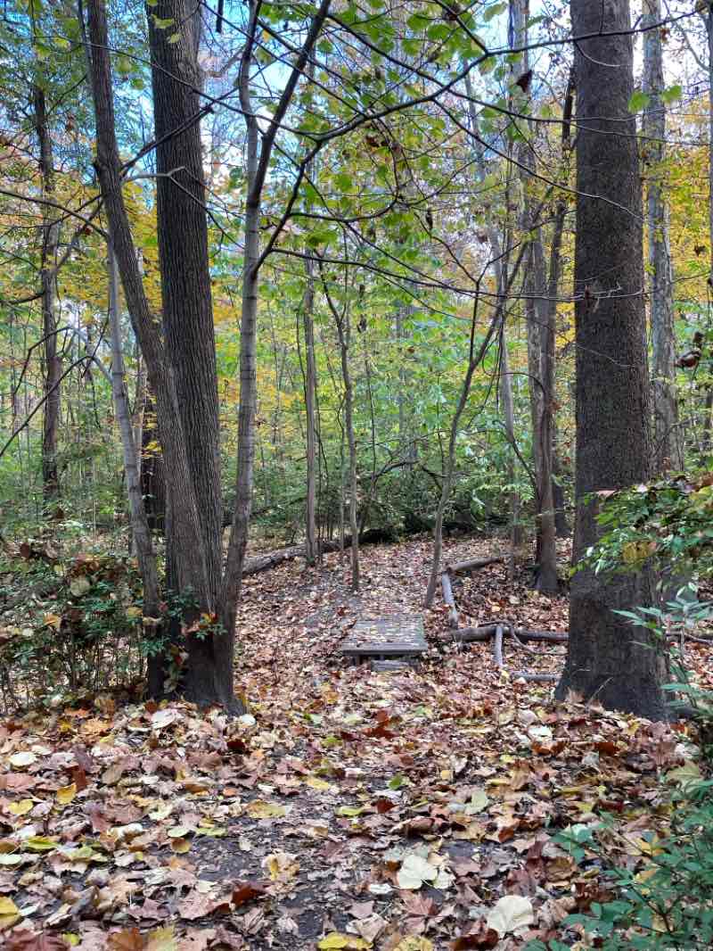 walking near me in Clinton River Park North in winter