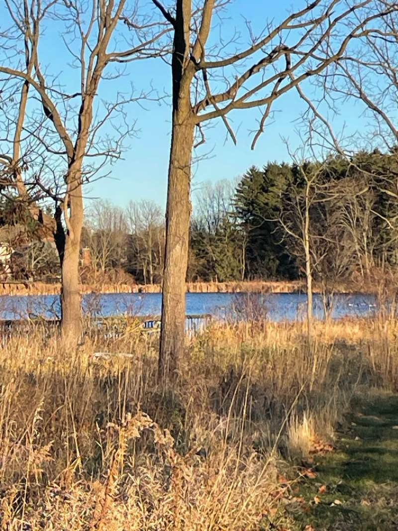 walking near me in Pierce Park in winter