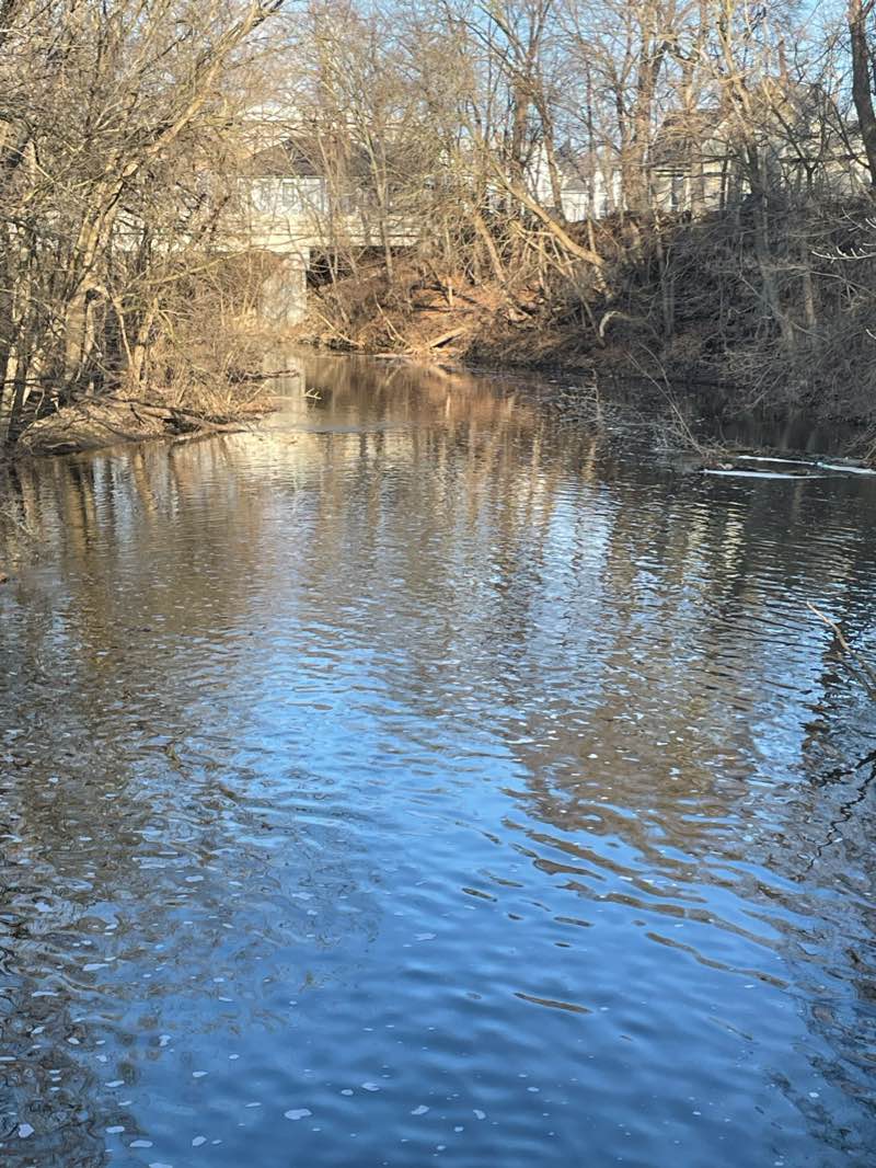 walking near me in Scott Park in winter