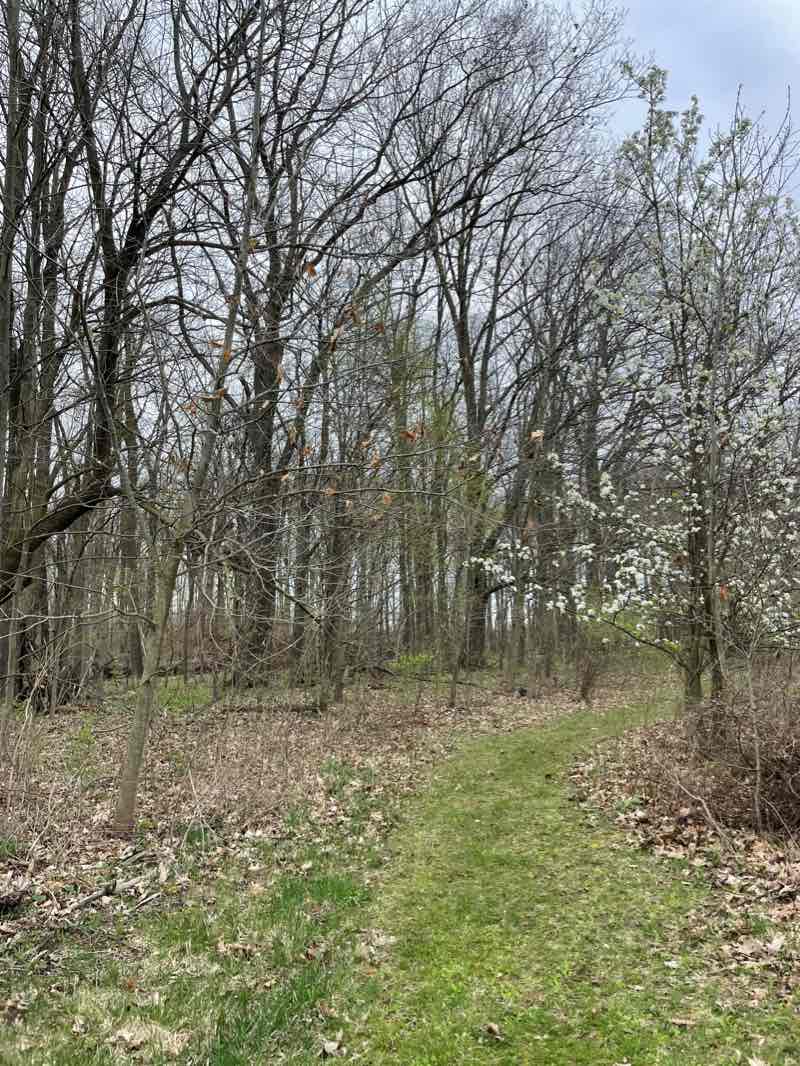 walking near me in Patriot Park in winter