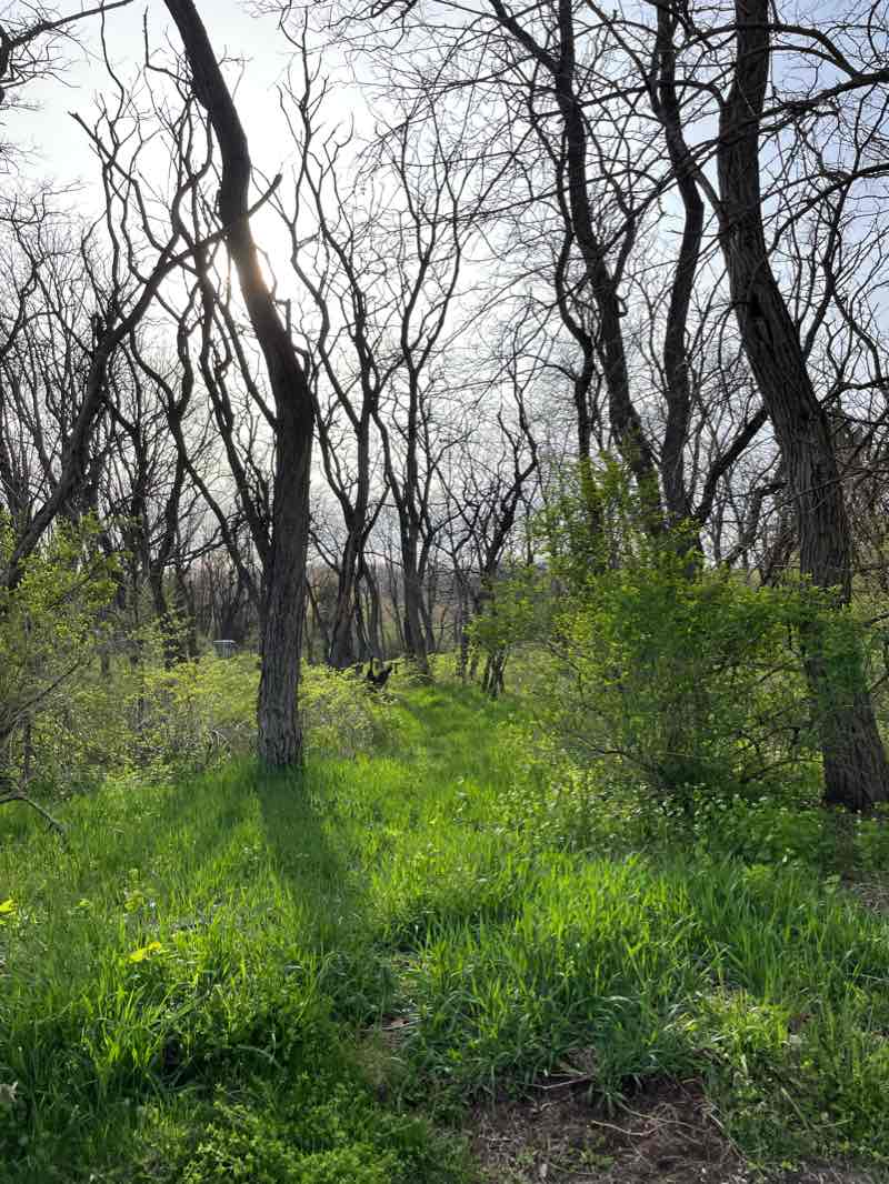 walking near me in Manly Bennett Memorial Park in winter