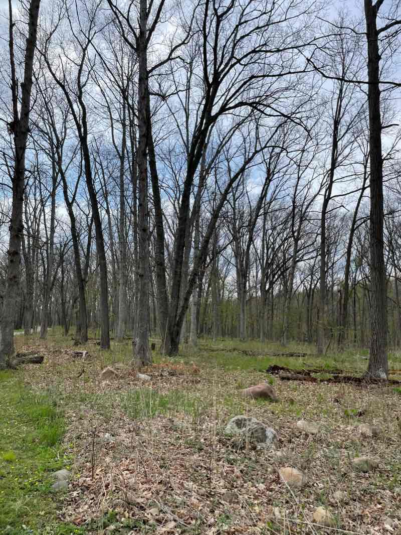walking near me in Dexter Huron Metropolitan Park in winter