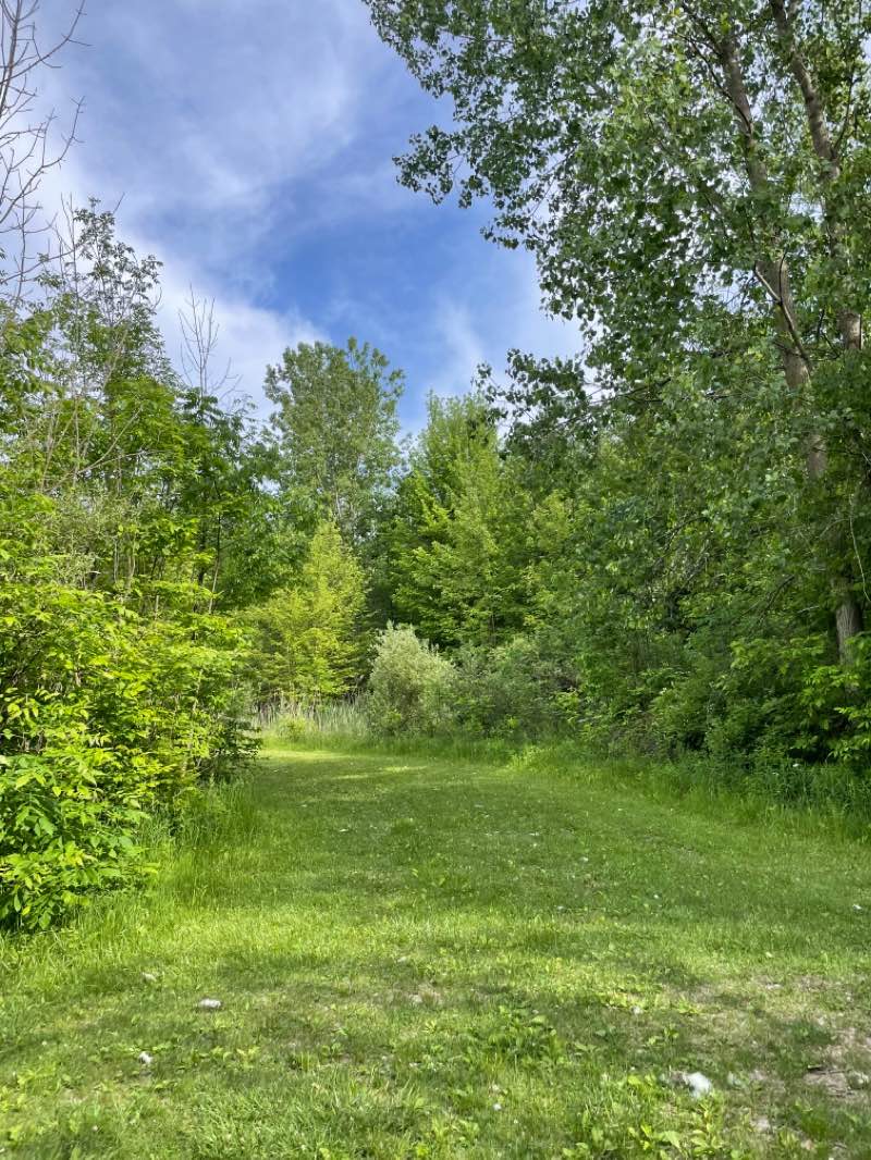 walking near me in Crosswinds Marsh Preserve in winter