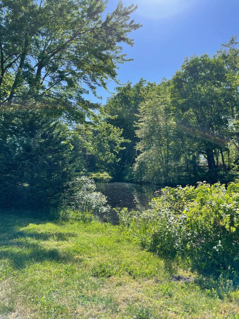 walking near me in Hiram Sims Park in winter