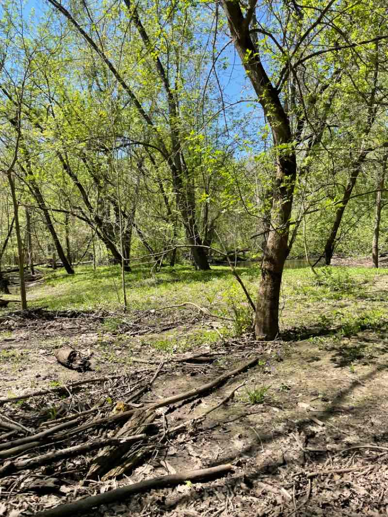 walking near me in Eastgate Park in winter