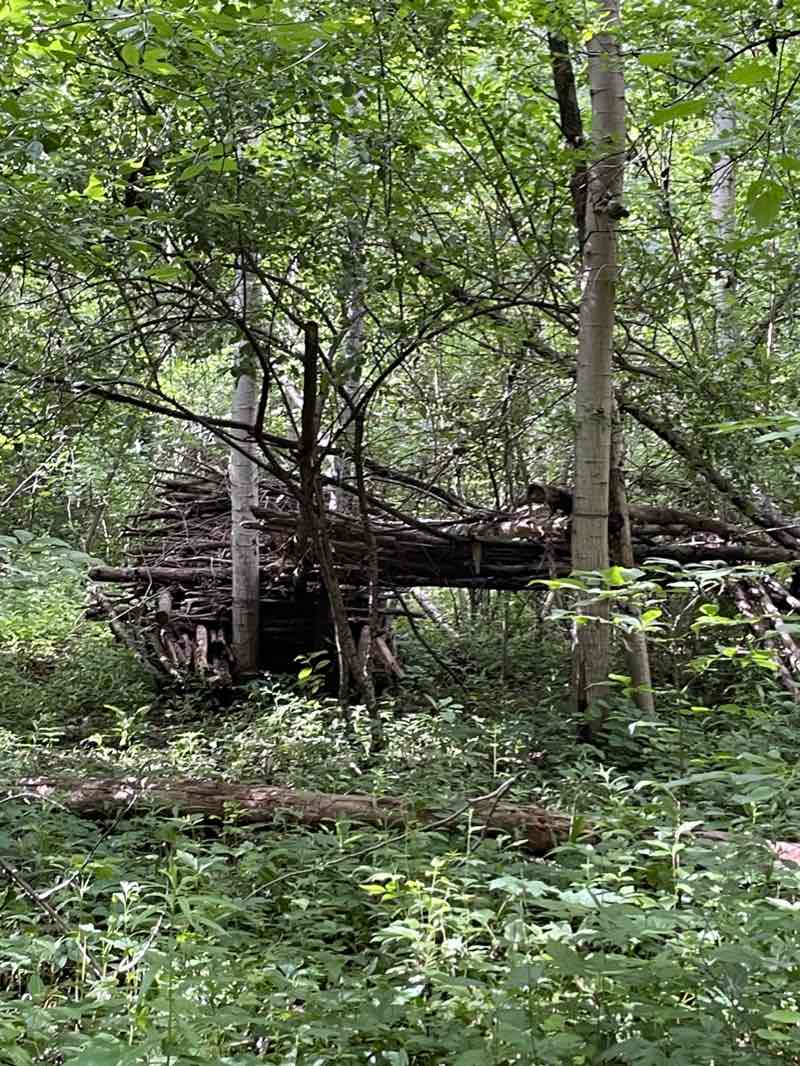 walking near me in Hewen's Creek Park in winter