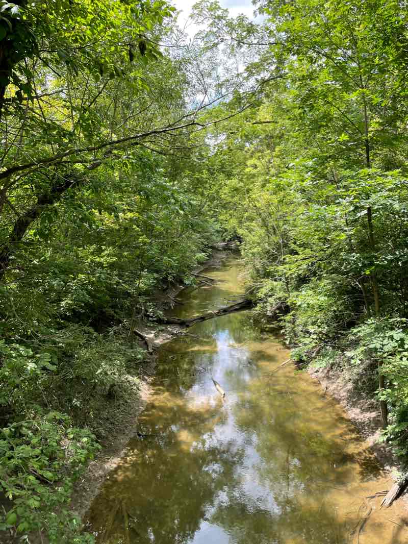 walking near me in Cedar Creek Preserve in winter