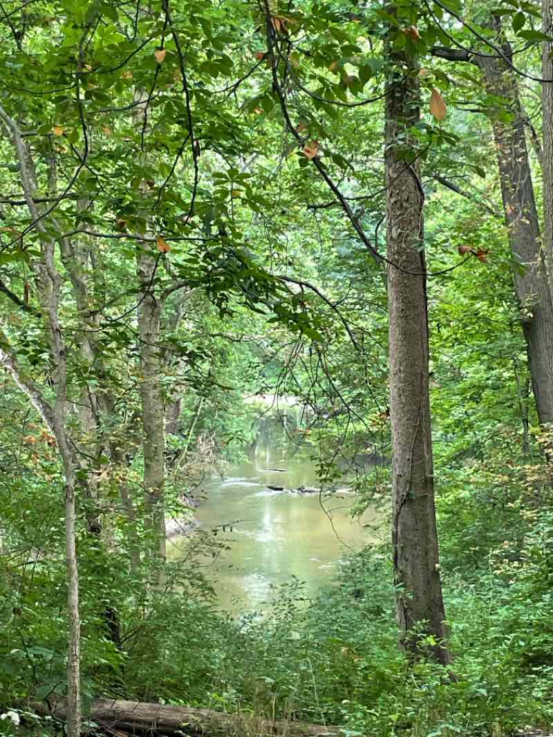 walking near me in Woodsdale Park in winter