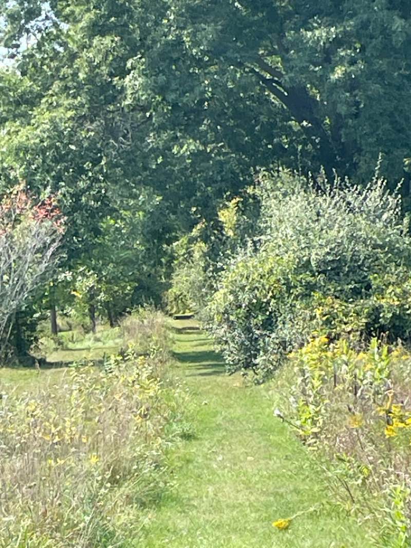 walking near me in Squiers Preserve in winter