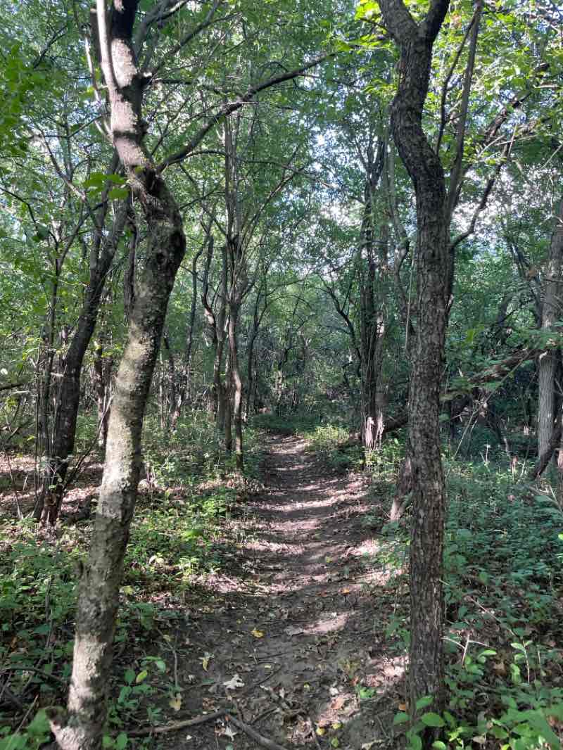 walking near me in Lower Rouge Parkway in winter