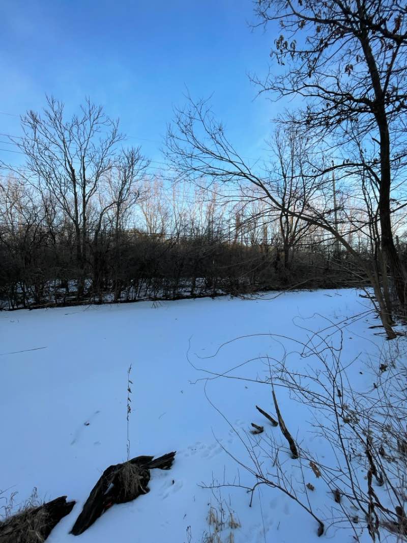 walking near me in Gallup Park in winter
