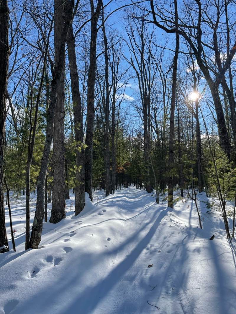walking near me in Pere Marquette State Forest - Traverse City Unit in winter